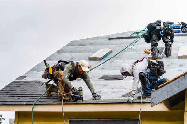 Professional Roofing technician working in Reading, MN